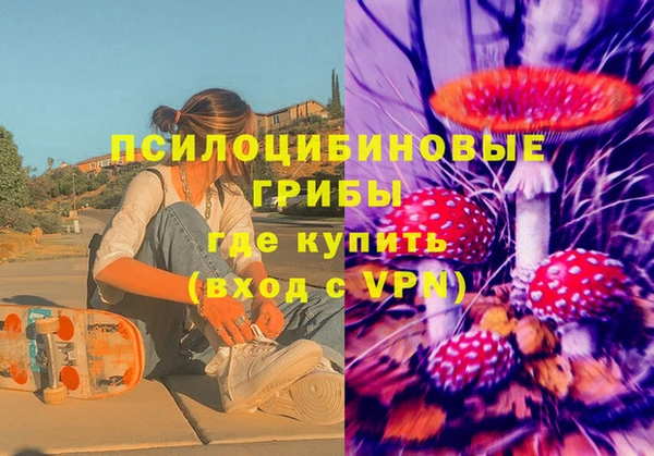 амф Бронницы