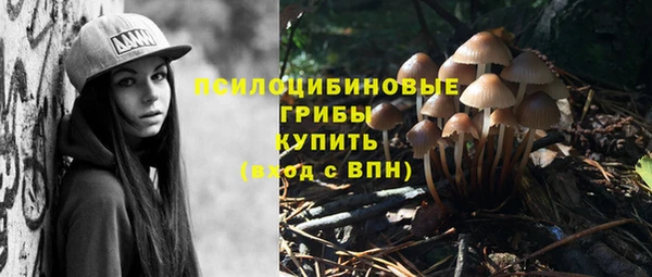 меф Бородино
