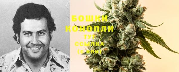 амф Бронницы