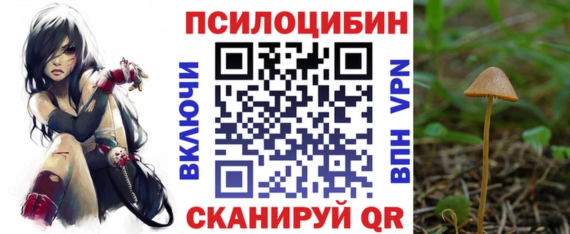 ссылка на мегу зеркало  Тамбов  darknet телеграм  где продают наркотики  Галлюциногенные грибы Cubensis 